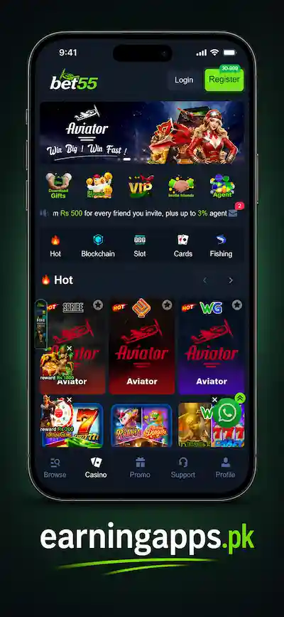 Bet55 Game Interface
